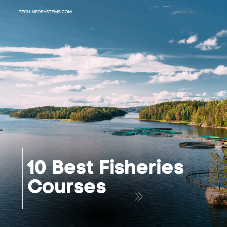 10 Best Fisheries Courses: Becoming Aquaculture Expert!