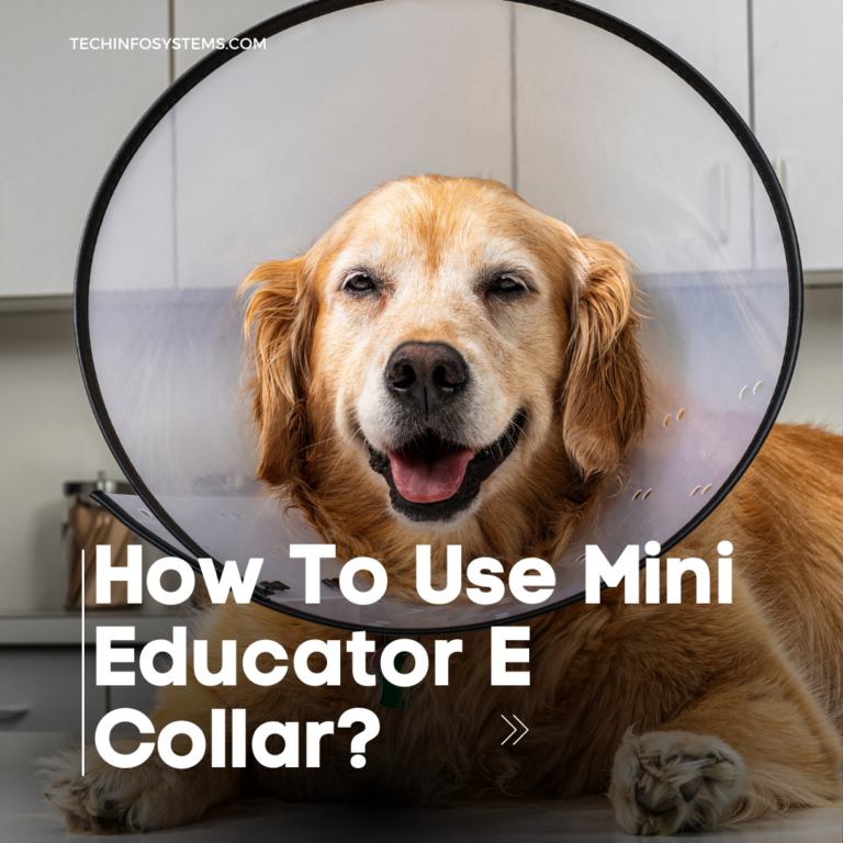 How To Use Mini Educator E Collar?