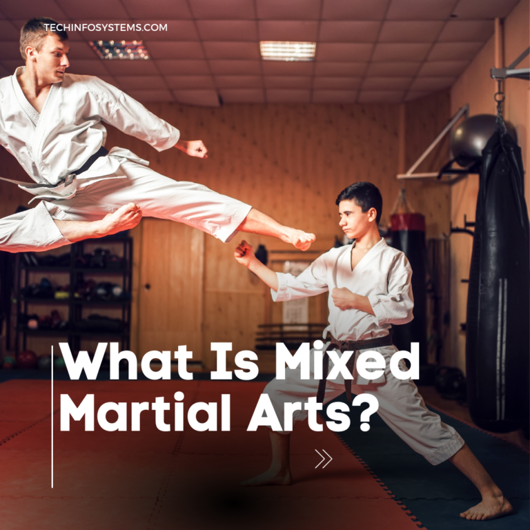 what is mixed martial arts?
